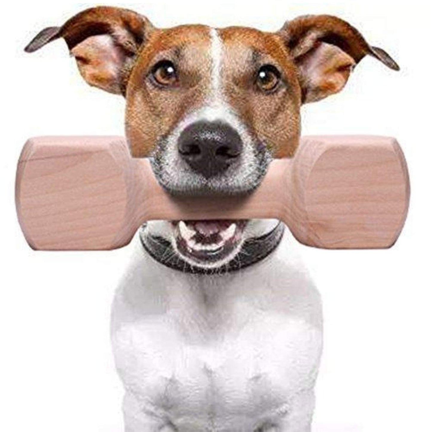 Durable Dog Chew Toy for Aggressive Chewers | Interactive Bite-Resistant Pet Toy