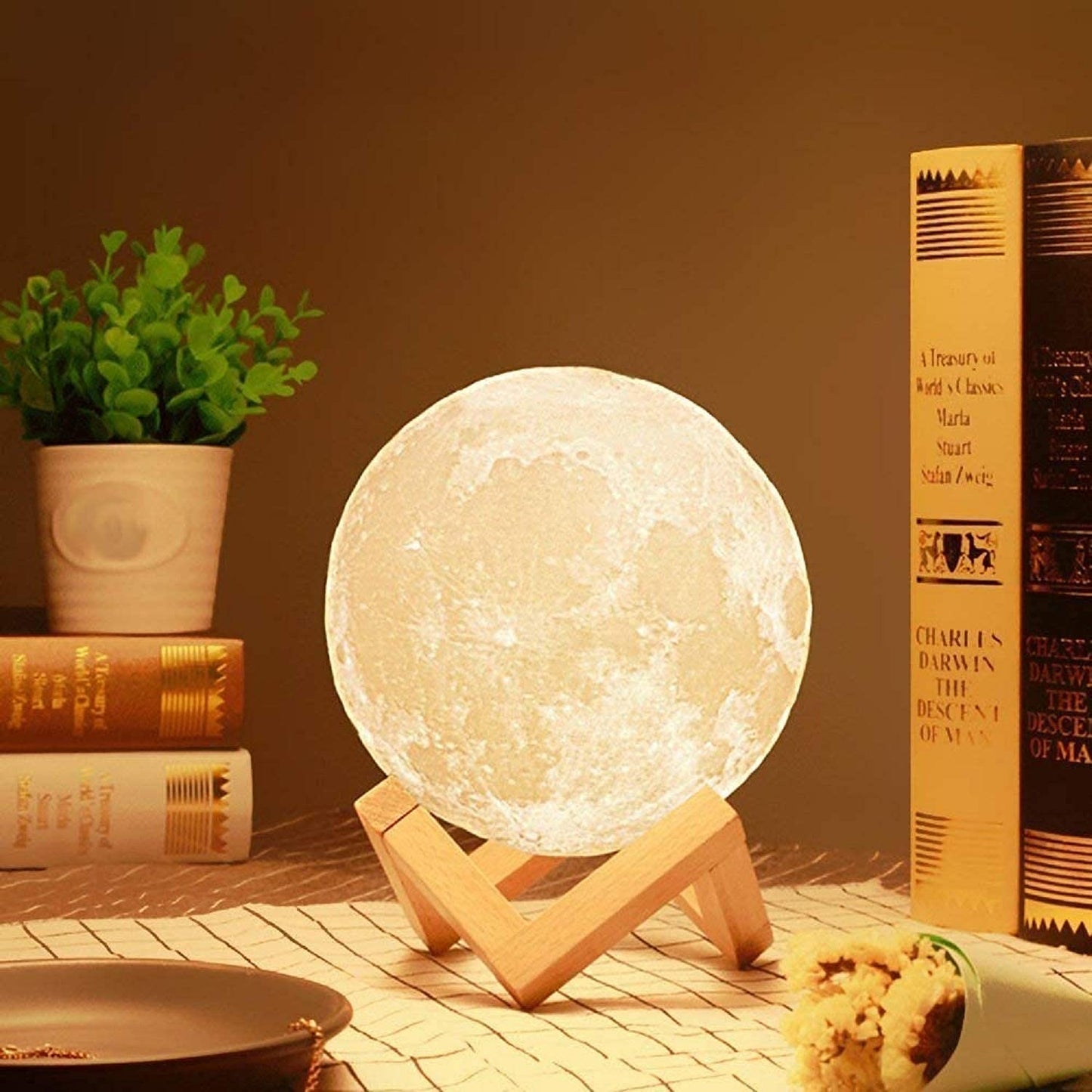15CM Elegant Decorative LED Lamp – Stylish Plastic Design Night Light for Bedroom & Kids Room | Perfect Gift for Women & Valentine’s Day