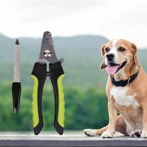 Dog Nail Cutter & Grinder Kit | Professional Pet Nail Clipper & Trimmer for Small, Medium & Large Dogs